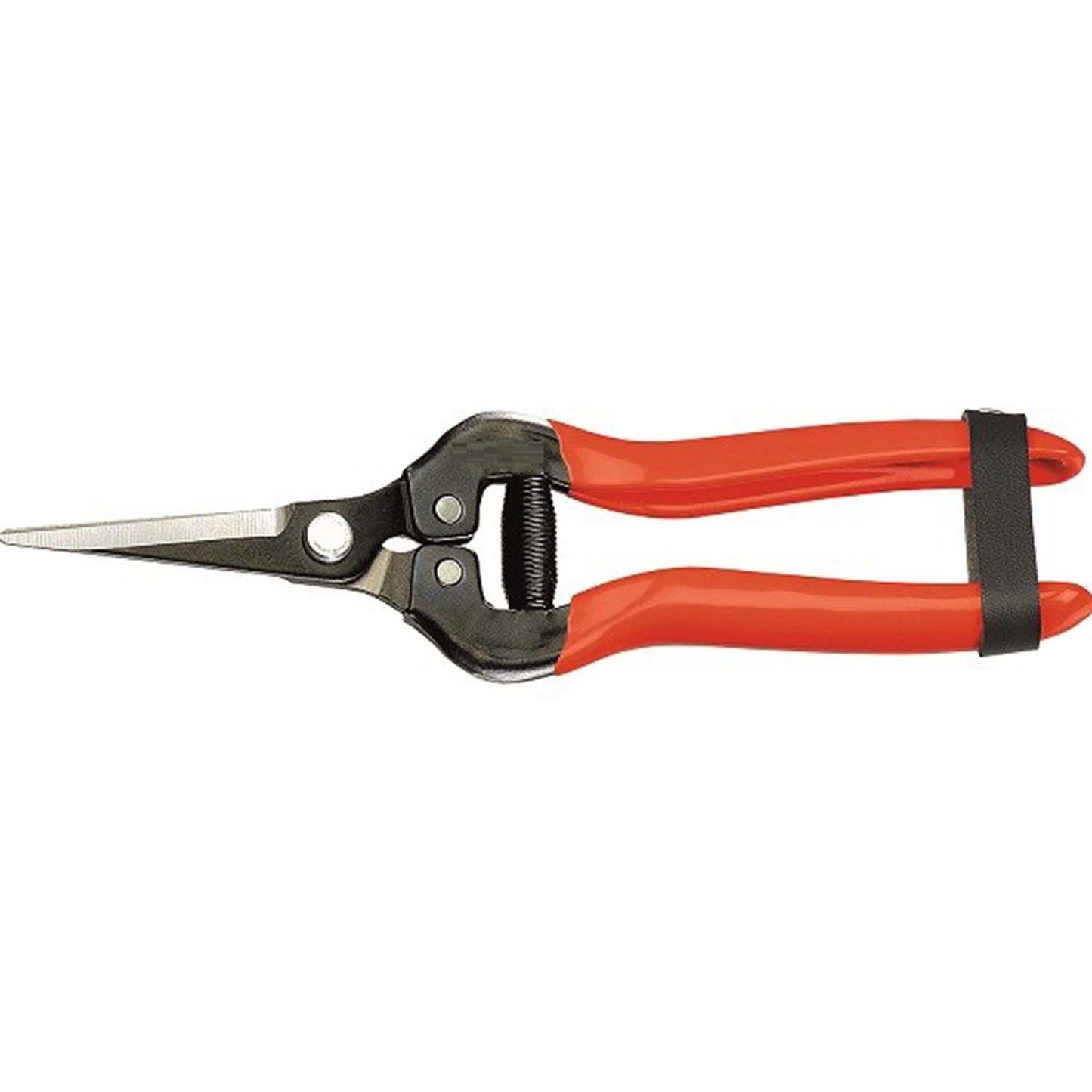 eMESERIASUL.RO Foarfeca de vie cu lama ascutita, 18 cm, Sailhope, POZA 2