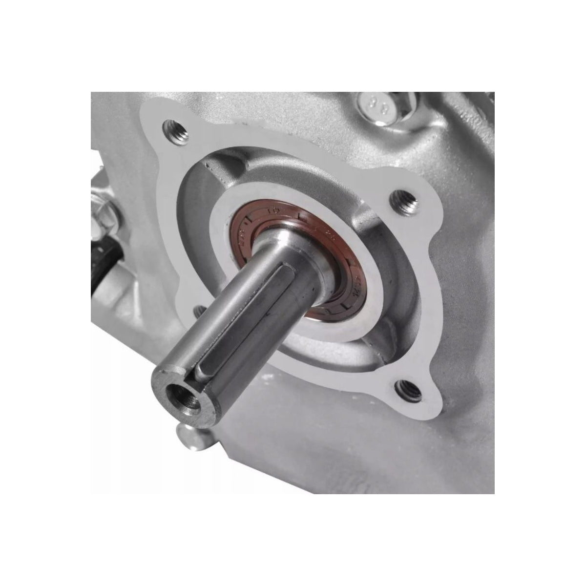 eMESERIASUL.RO Motor motocultor / uz general AP GX160 (168F), 6.5CP, 4 timpi, ax cilindric 20mm, POZA 6