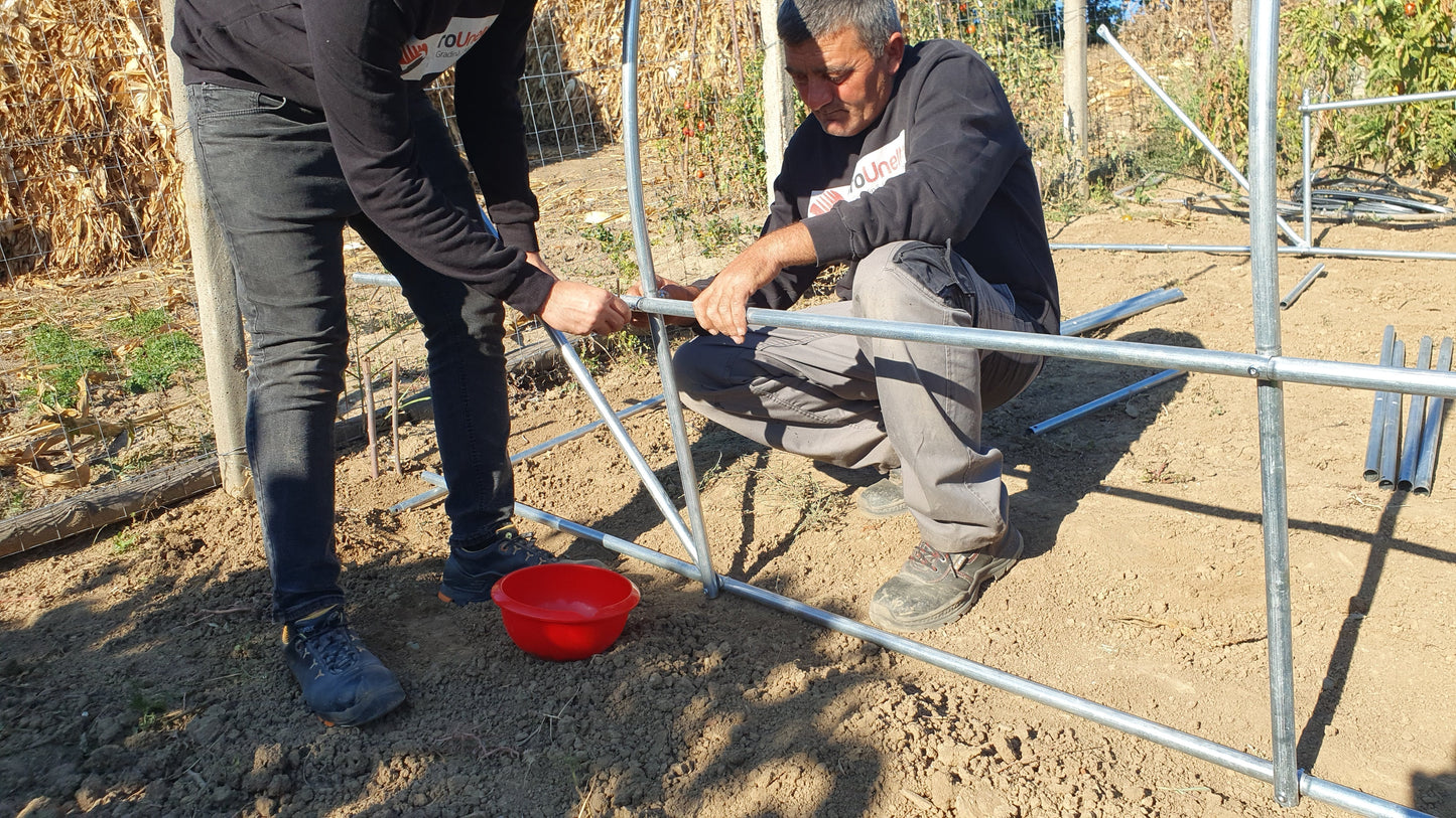 eMESERIASUL.RO Solar gradina premium Liderman, 200x200x200cm, structura otel zincat 25mmx1mm, sera cu suprafata 4m2, POZA 12